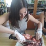 preparace ledviny