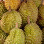 Durian